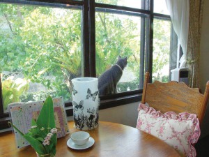 風を感じられる窓と 網戸の間が大好きなリオン