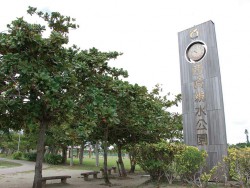 Wanの散歩道