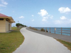 Wanの散歩道