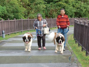 Wanの散歩道
