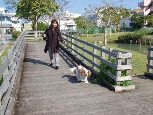 Wanの散歩道
