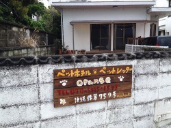 ペットシッターorange
