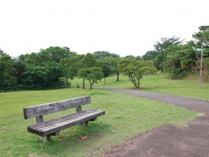 Wanの散歩道