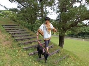 Wanの散歩道