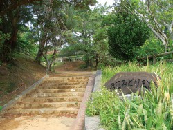 Wanの散歩道