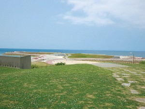 Wanの散歩道