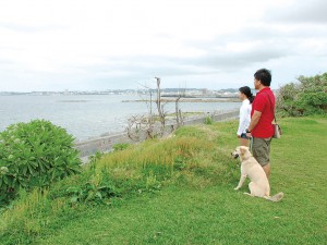 Wanの散歩道