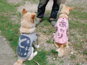 来客を知らせる 店番犬! at もか工房