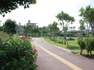 Wanの散歩道
