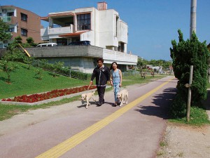 Wanの散歩道