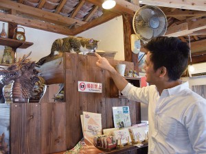 老舗店で 伝統を守る看板猫 at つぼや工藝店