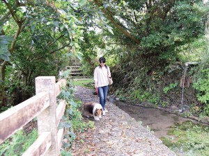 Wanの散歩道