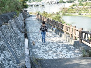 Wanの散歩道