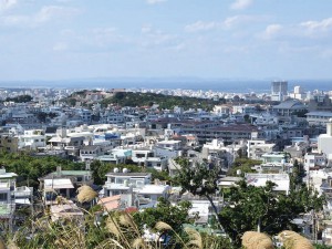 Wanの散歩道