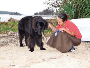体は大きいけど、 心優しい看板犬 at 恩 the Beach