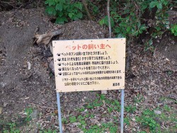 Wanの散歩道