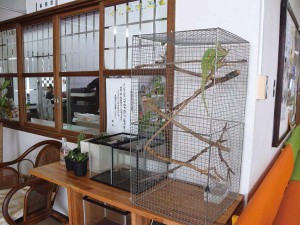 地域交流の お手伝い at 福祉就労センター 楓葉館