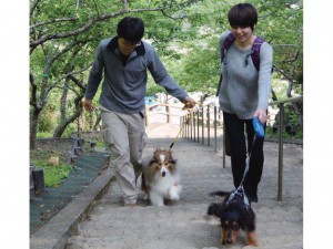 Wanの散歩道