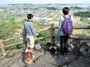 Wanの散歩道