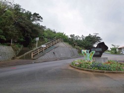 Wanの散歩道