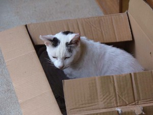 庭でのんびり お出迎え at カフェ阿吽 もとぶ南蛮窯