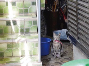 正反対の性格が 魅力的! at cafe Natura