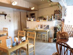 正反対の性格が 魅力的! at cafe Natura