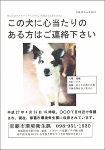 迷子犬・猫の探し方