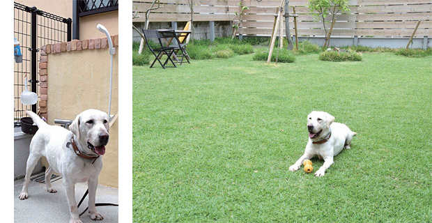 犬遊所コリン&カフェ果林
