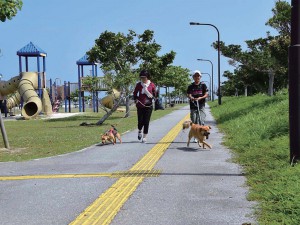 Wanの散歩道