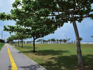 Wanの散歩道