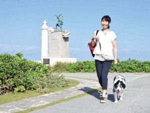 Wanの散歩道