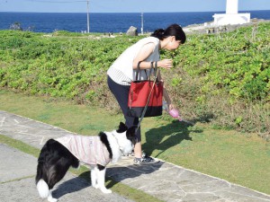 Wanの散歩道