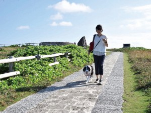 Wanの散歩道