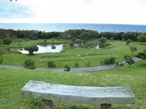 Wanの散歩道