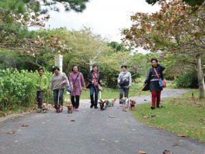 Wanの散歩道