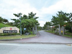 Wanの散歩道