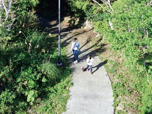 Wanの散歩道