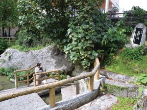 Wanの散歩道