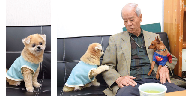 営業に 同行(!?)する 看板犬 at 島みつばち園