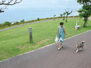 Wanの散歩道