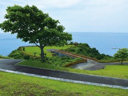 Wanの散歩道