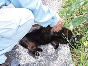 ごひいき社員が いる看板トリオ at 琉創建設